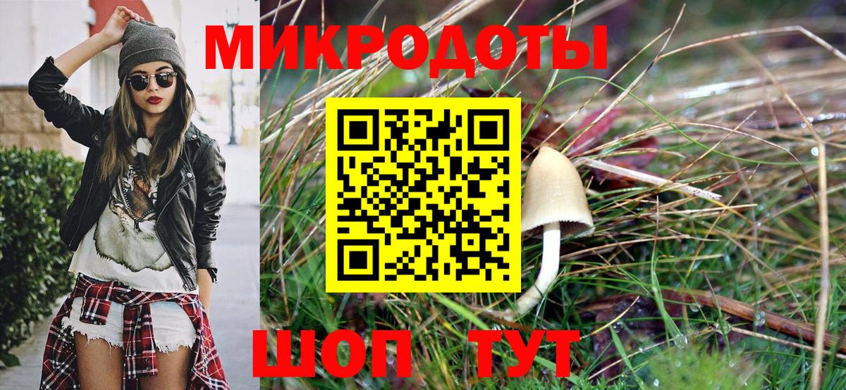 Псилоцибиновые грибы мухоморы Анапа